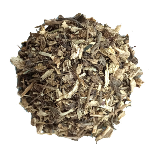 echinacea purpurea root