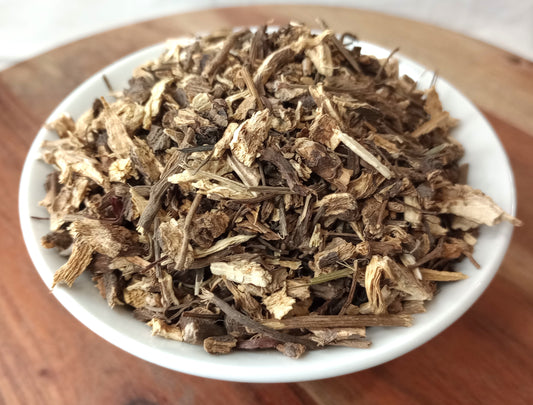 echinacea purpurea root