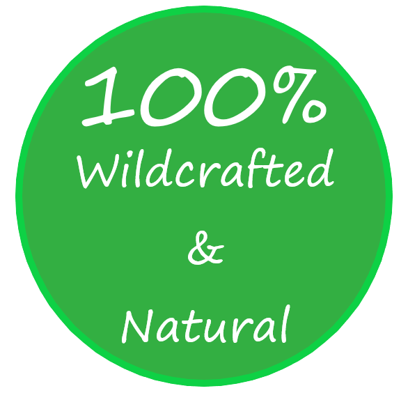 Horehound Herb - WILDCRAFTED