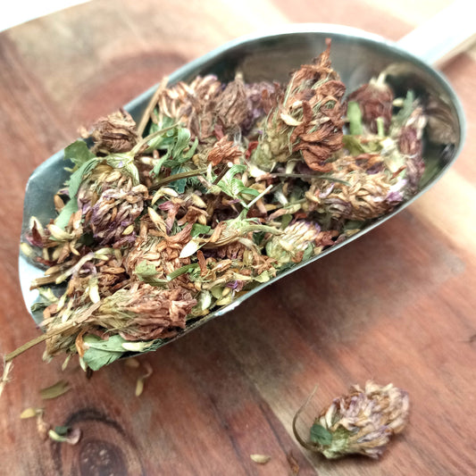 Organic Red Clover Flowers