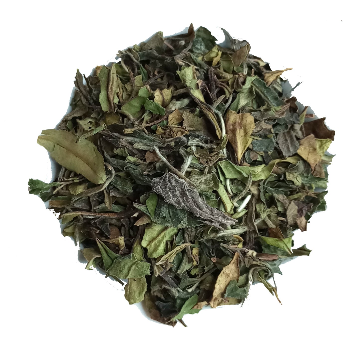 organic bai mudan