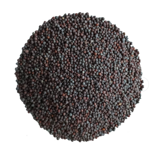 Organic Black Mustard Seeds