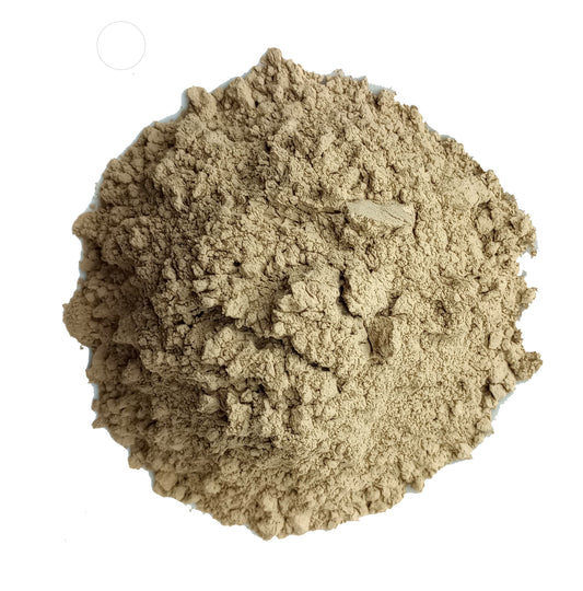 Bladderwrack Seaweed Powder - Premium French Product