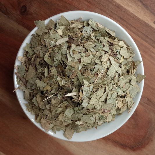 Organic Eucalyptus Leaf