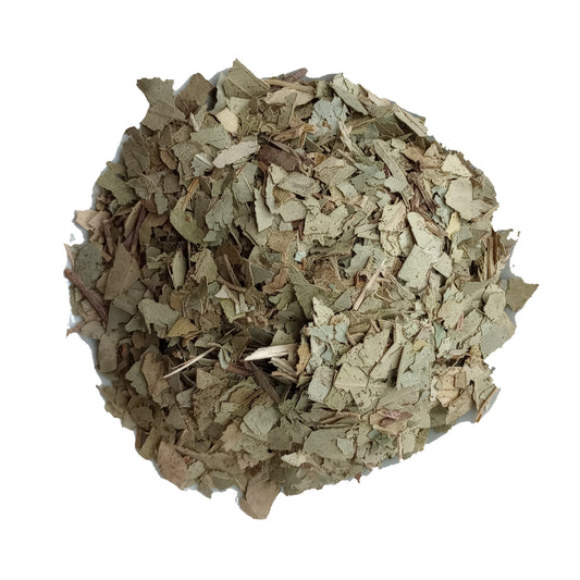 Organic Eucalyptus Leaf