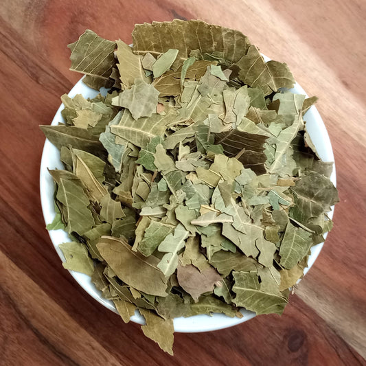 organic neem leaf