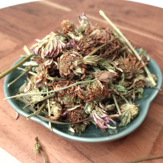 Organic Red Clover - Whole Herb