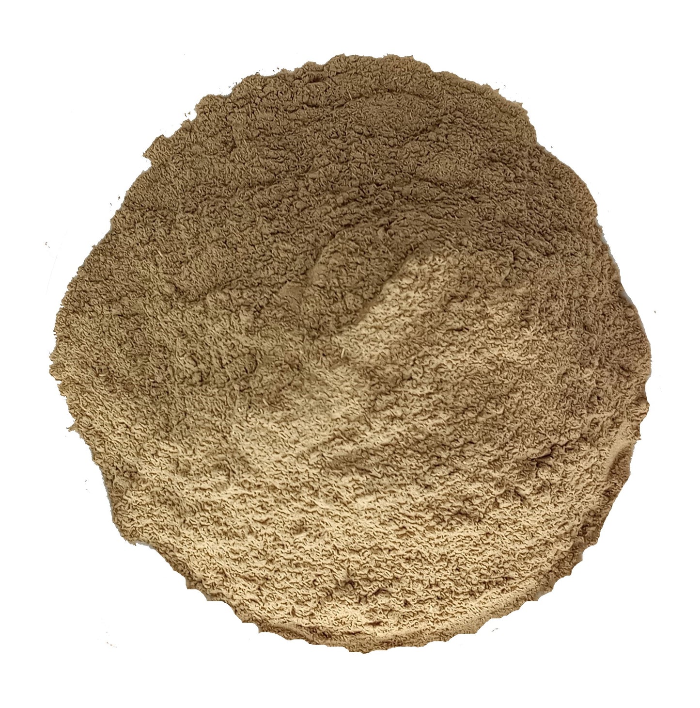 organic brahmi herb powder