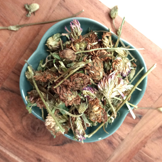 Organic Red Clover - Whole Herb