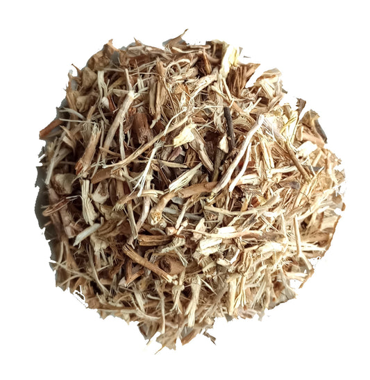 sarsaparilla root