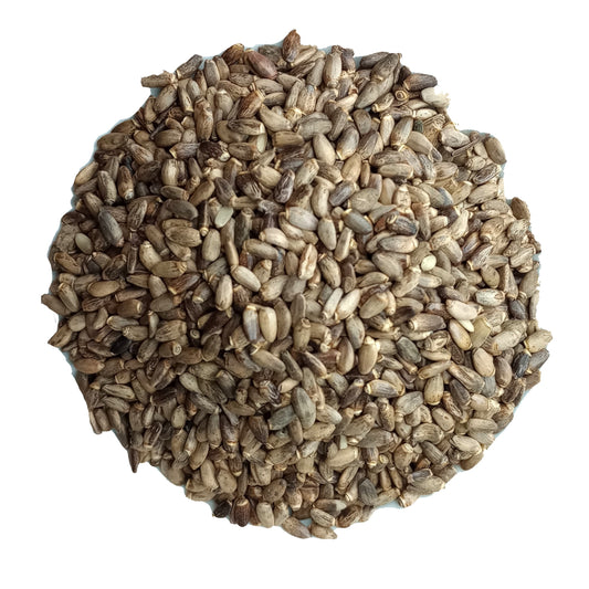 Organic Milk Thistle / St Mary's Thistle Seed