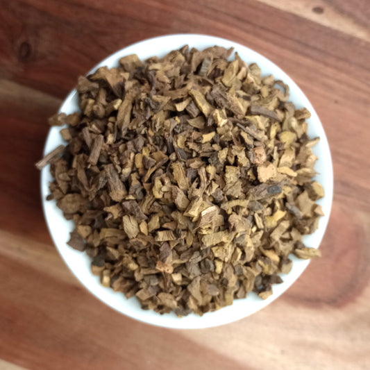 yellow dock root
