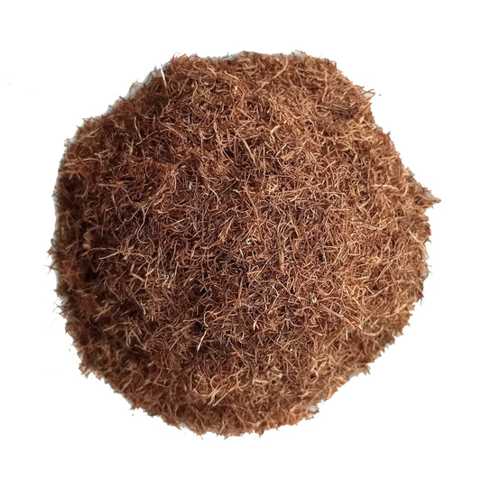 cornsilk - cut
