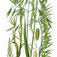 Oat Straw Powder 100% ORGANIC - CLEARANCE!