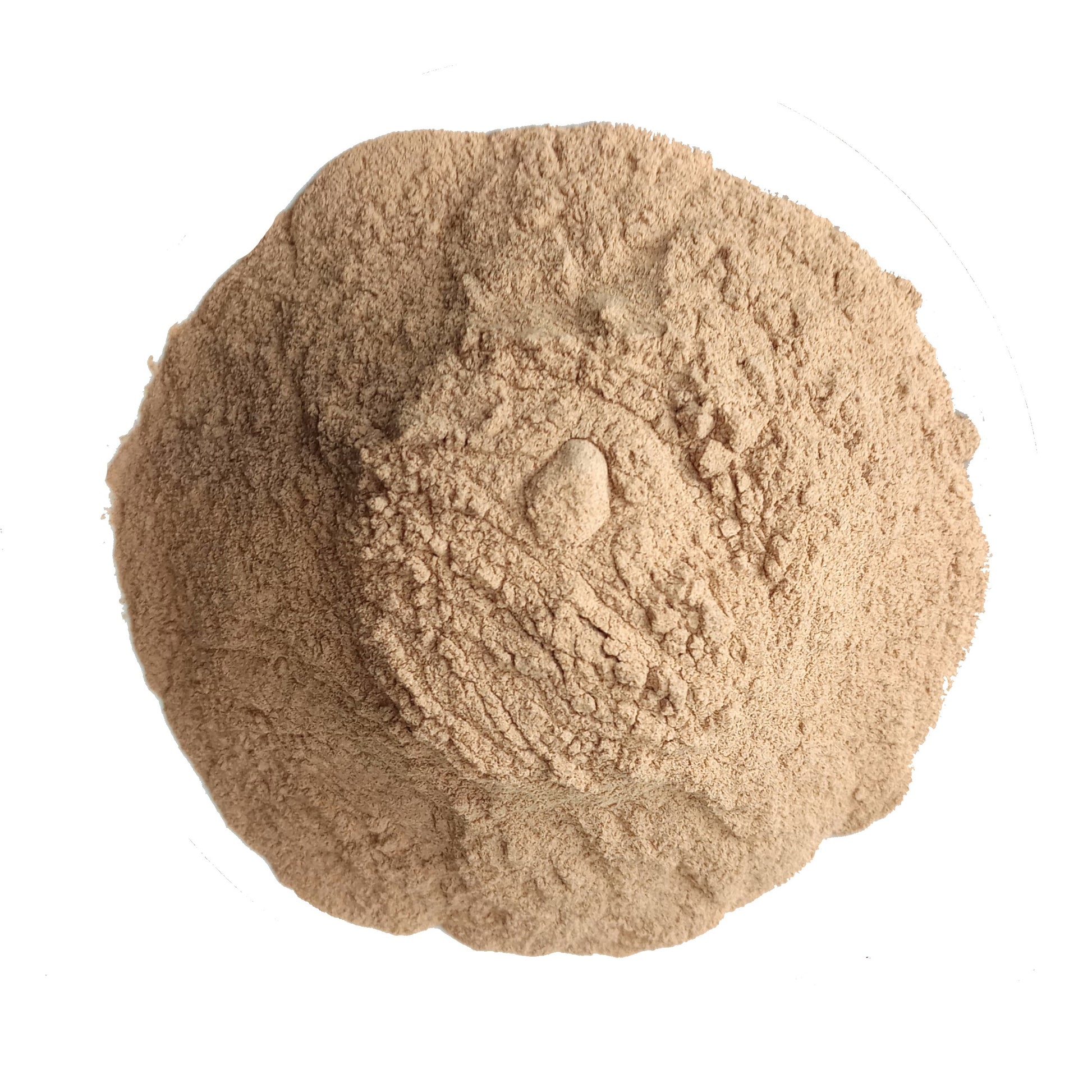organic carob powder - raw