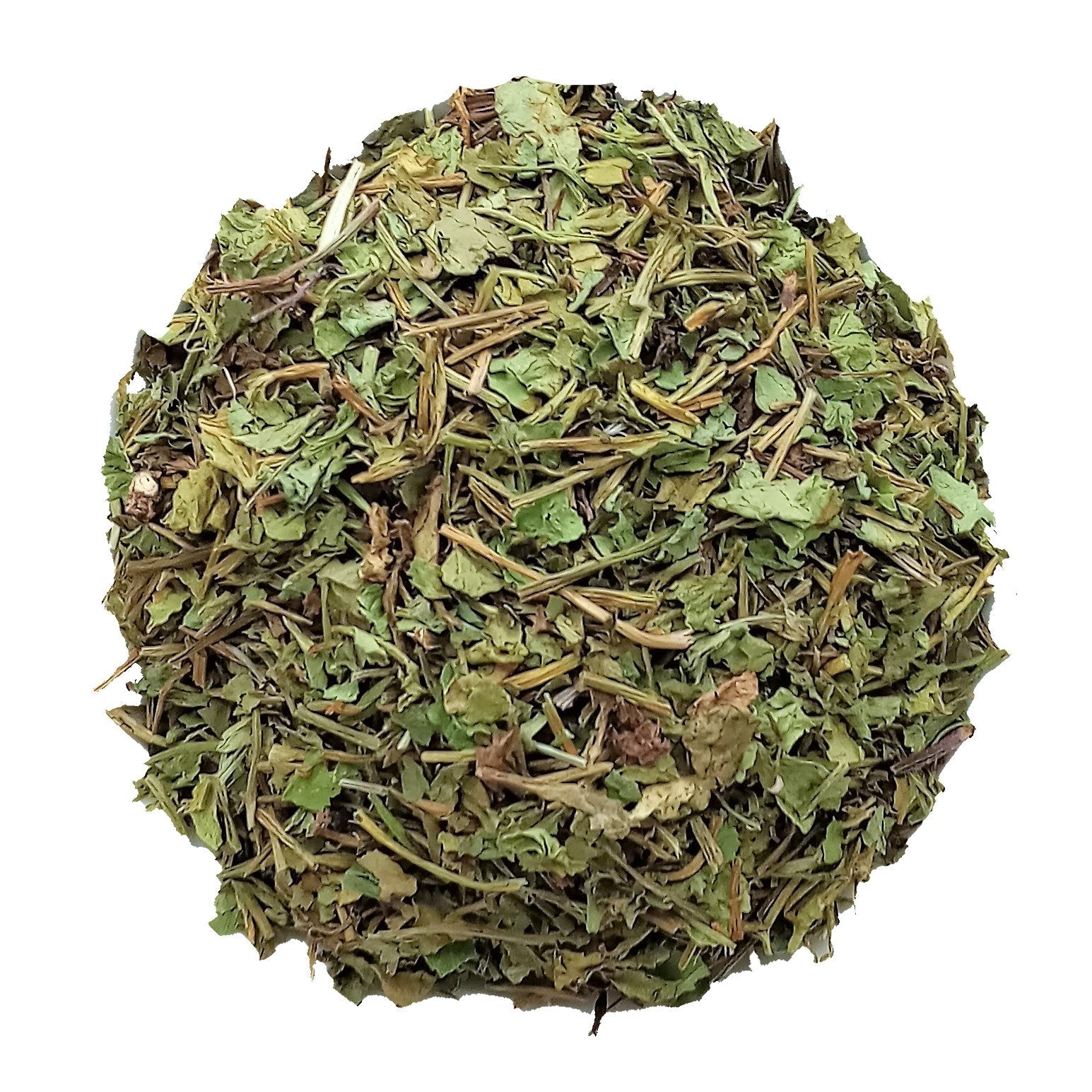 organic gotu kola herb