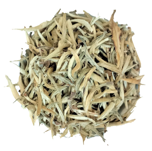 Organic Silver Needle Tea - Bai Hao Yin Zhen