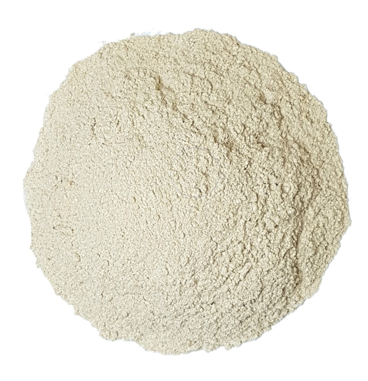 wildcrafted Siberian ginseng powder