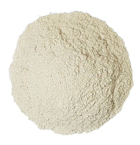 wildcrafted Siberian ginseng powder