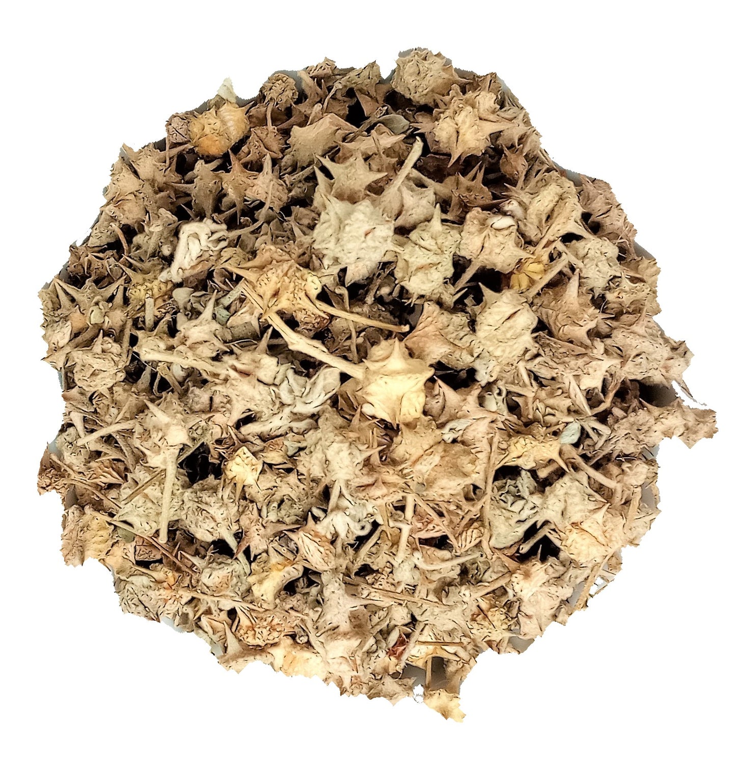 Tribulus Tea