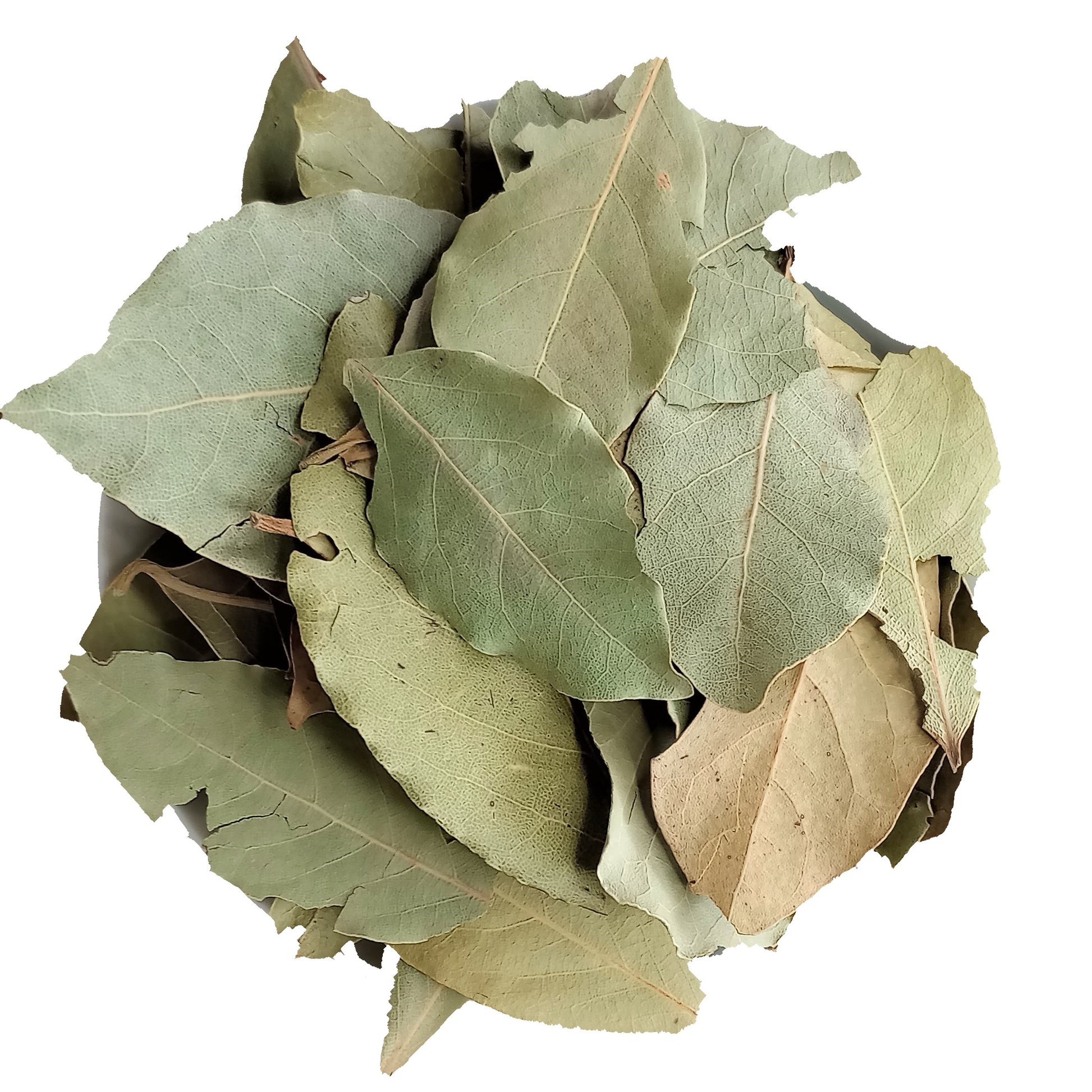 bay leaves dried