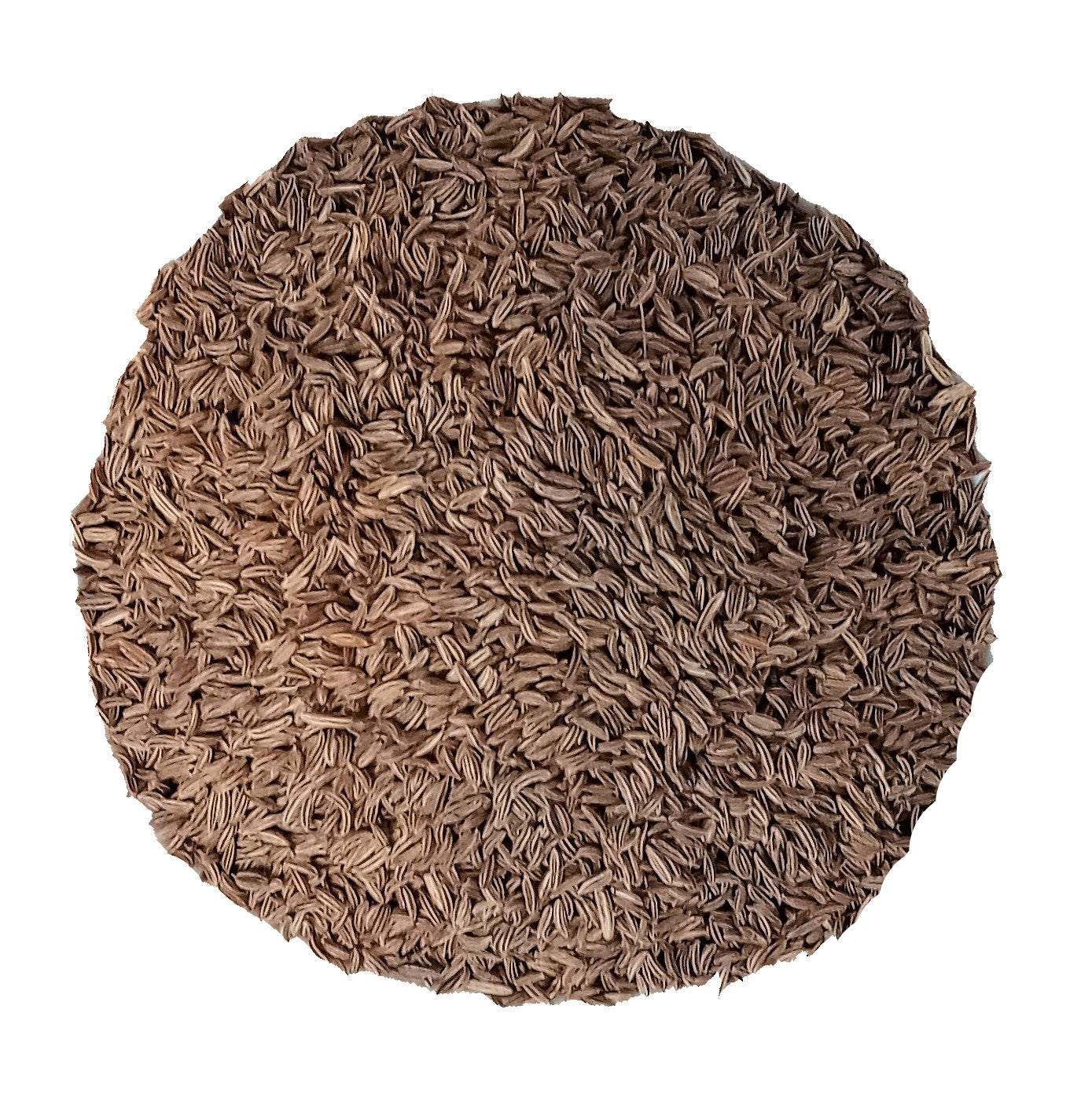 caraway seeds