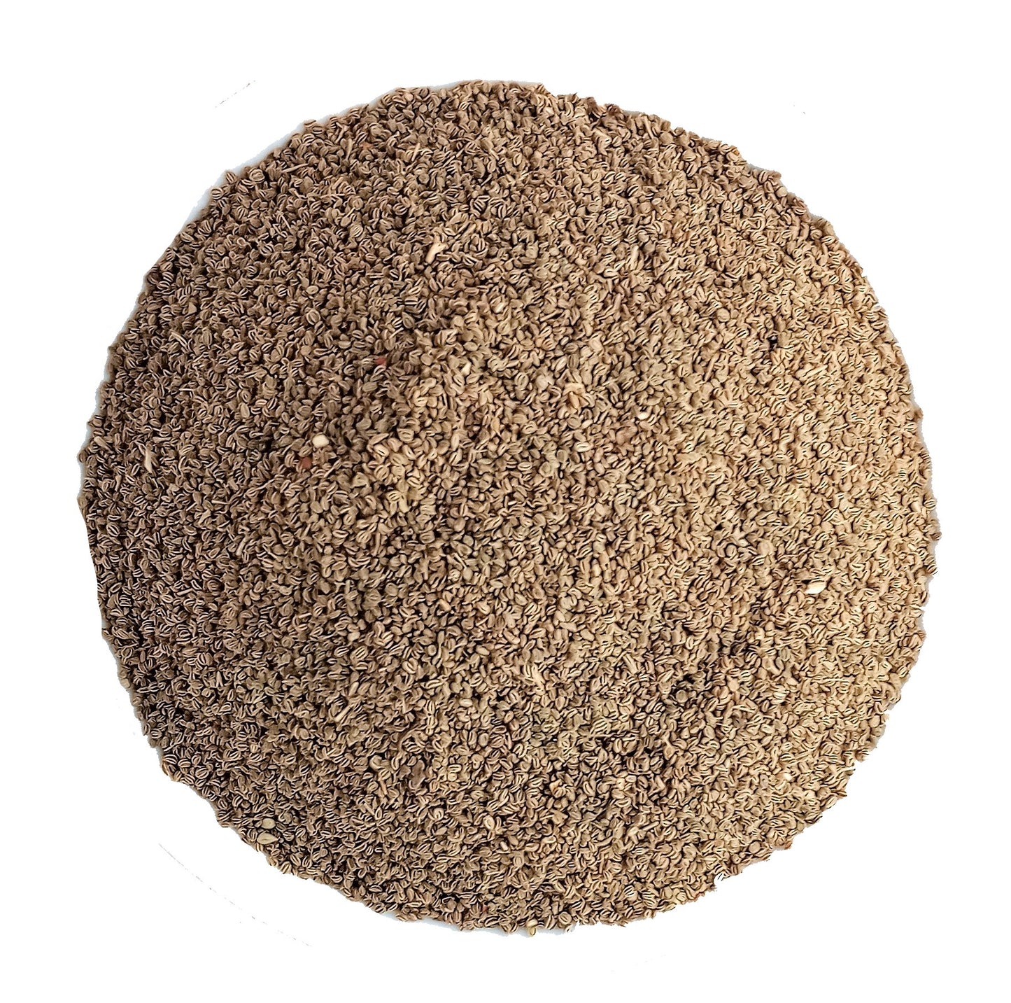 celery seed 