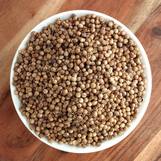 organically australian grown coriander seeds dried