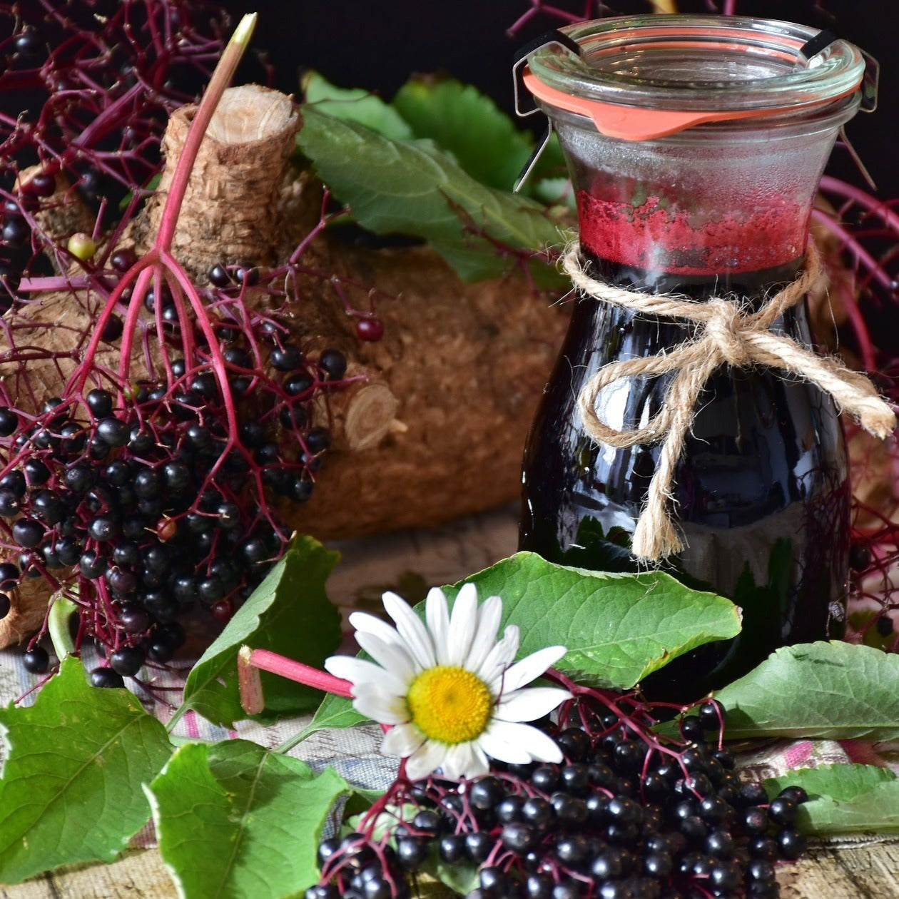 A shapely glass jar filled with elderberry syrup. Prettily decorated with a brown hessian rope tied into a bow. Placed amidst fresh elderberries and green leaves on a table.