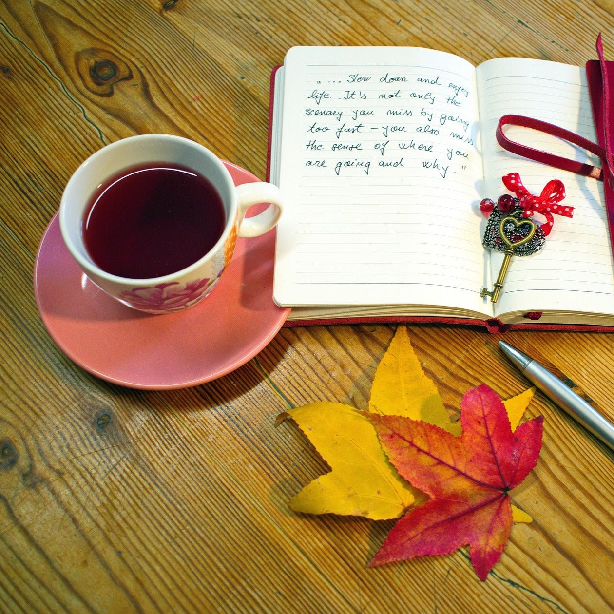 Elderberry tea in a tea cup and saucer. Maple leaves in the foreground and a pen and open diary.