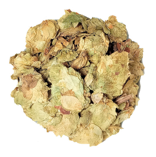 Hops Flower Tea - Premium Dried Hop Flowers