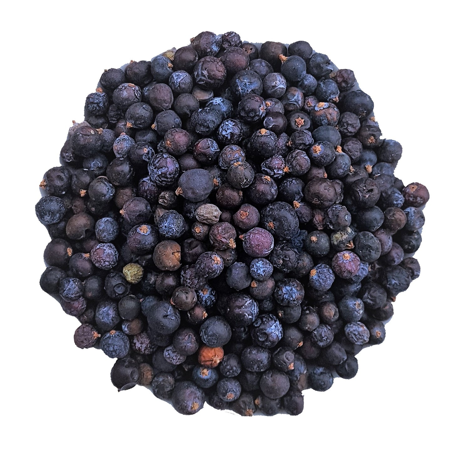 organic juniper berries