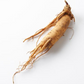 korean ginseng root photo