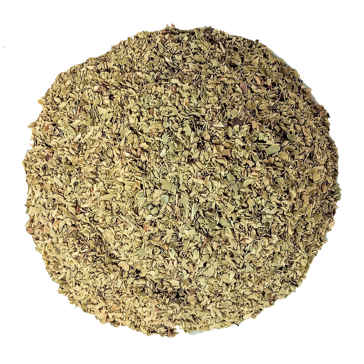 oregano herb