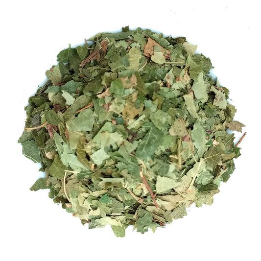 organic birch leaves