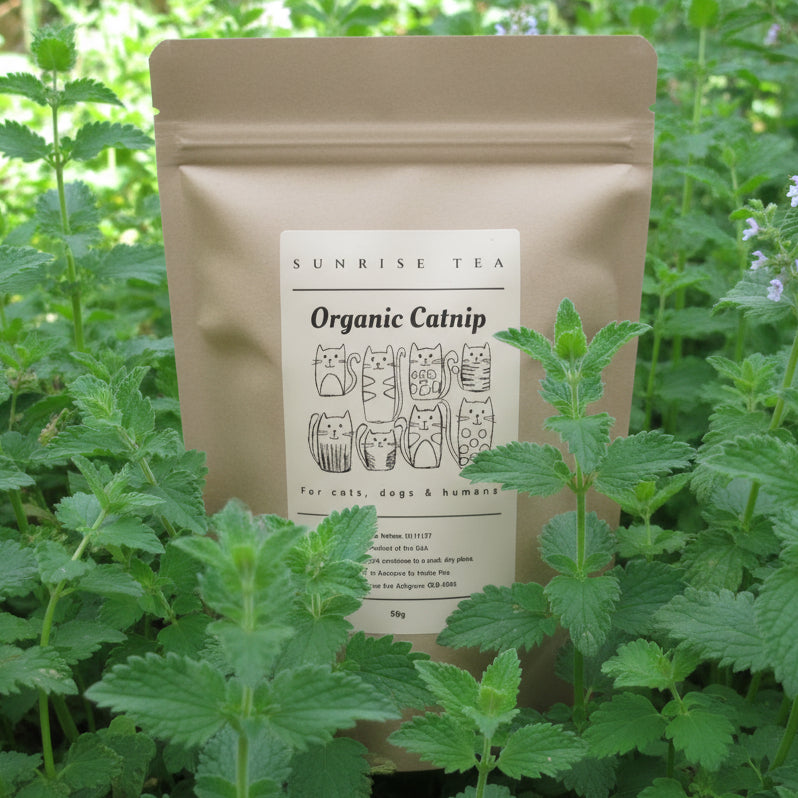Kraft paper packaging of Organic Catnip with a label on a plain background