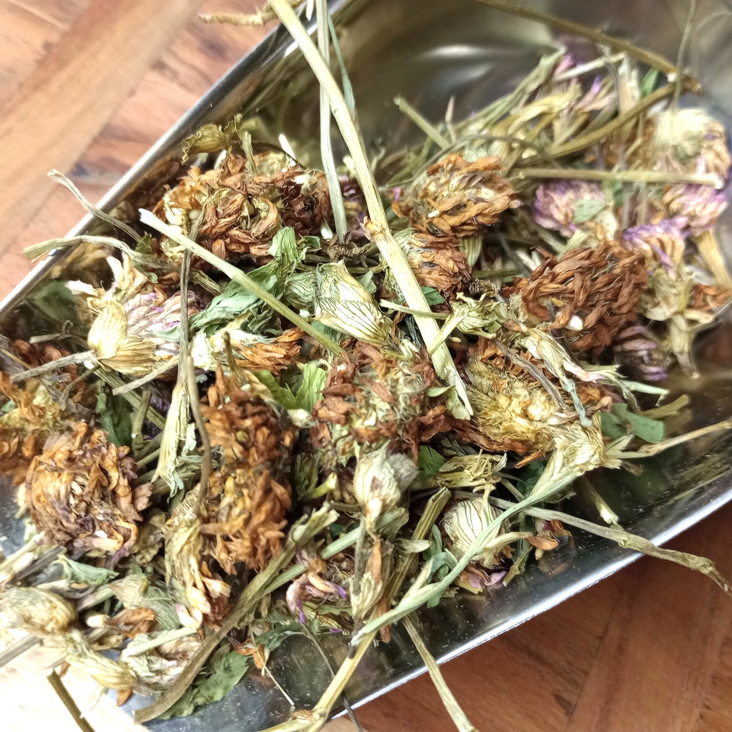 Organic Red Clover - Whole Herb