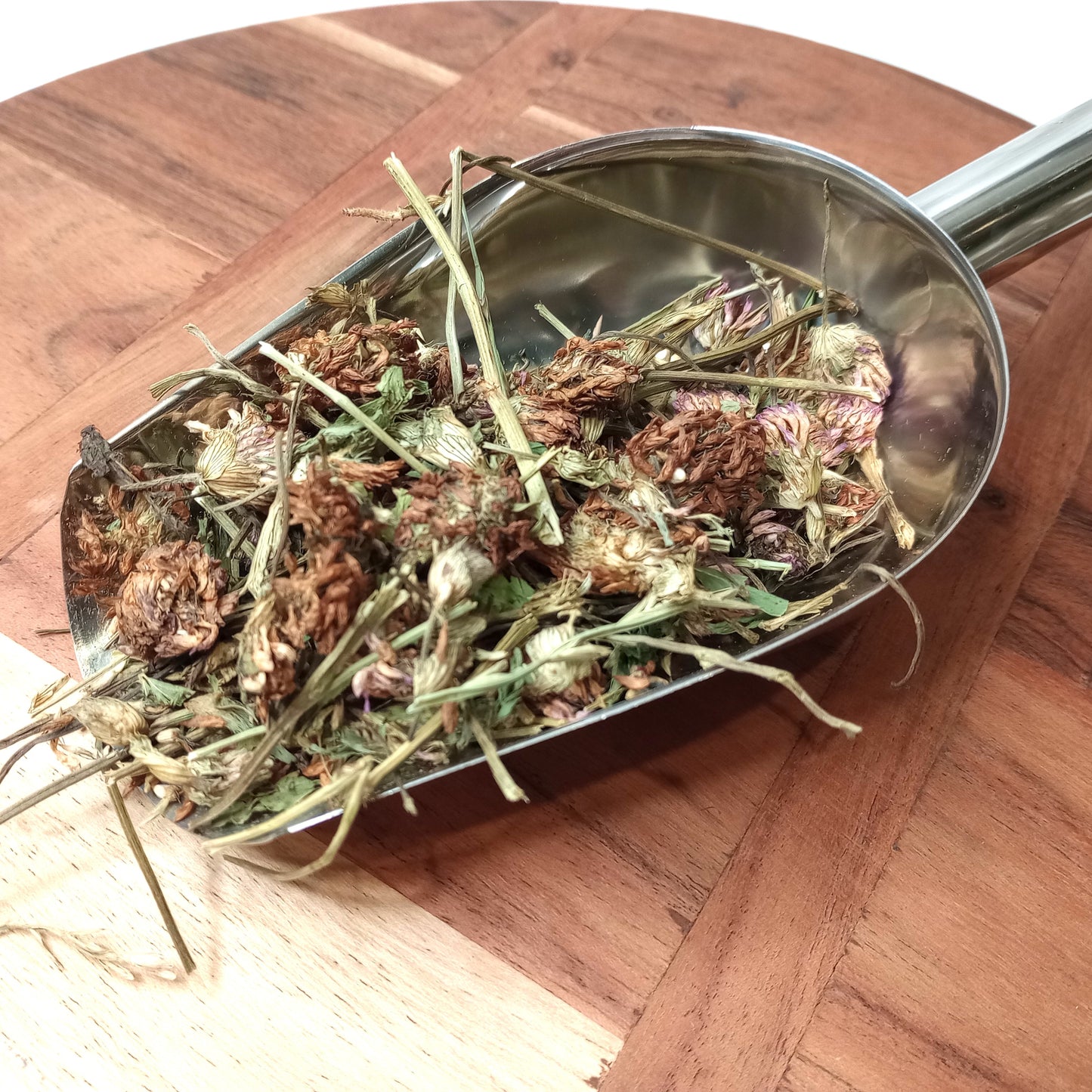 Organic Red Clover - Whole Herb