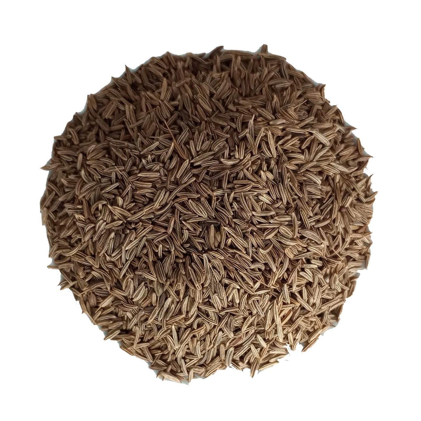 organic caraway seeds