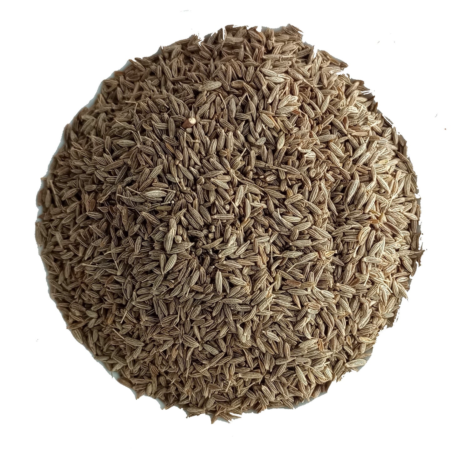 organic cumin seed