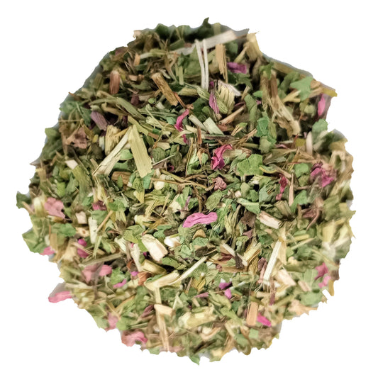 Organic Echinacea Tea