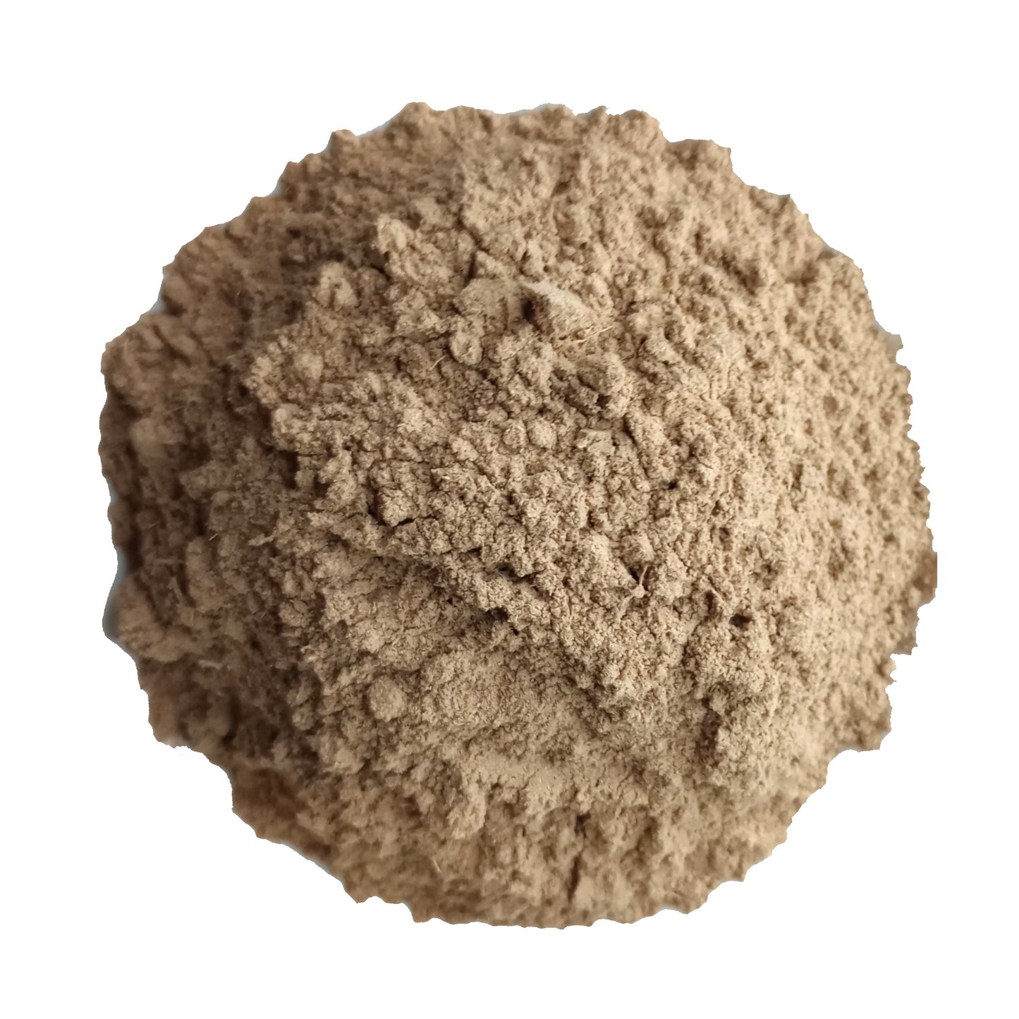 organic galangal powder