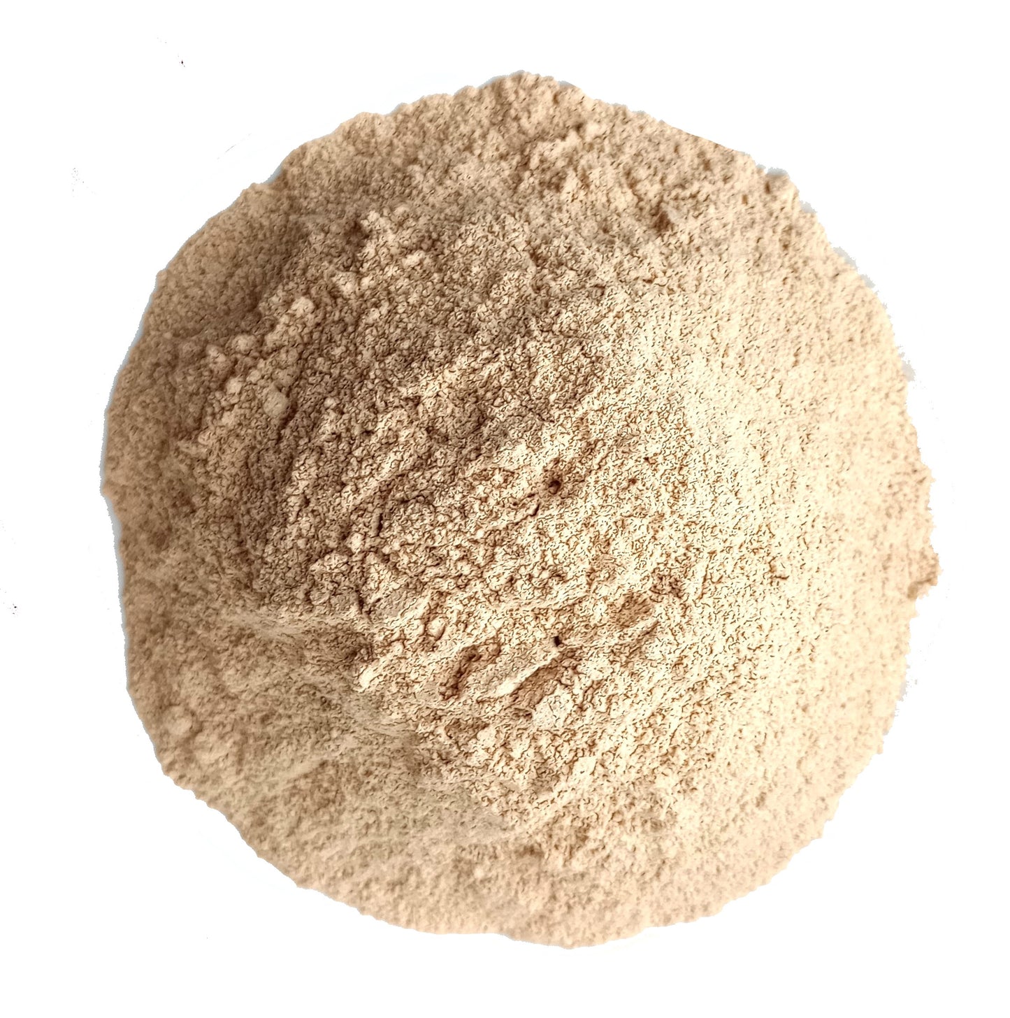 ORGANIC LEMON PEEL POWDER