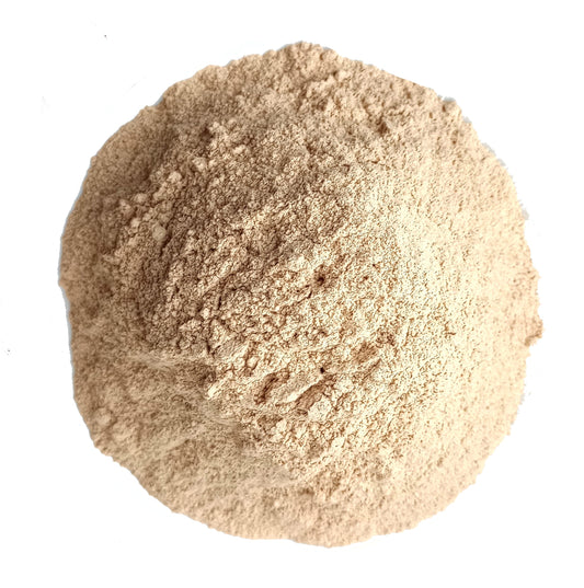 Organic Lemon Peel Powder