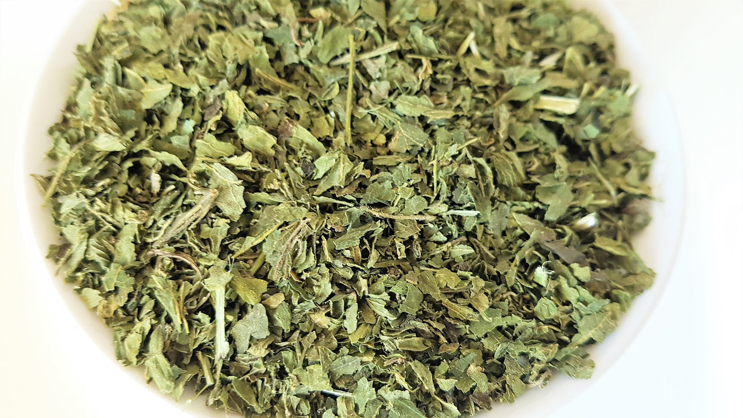 nettle leaf
