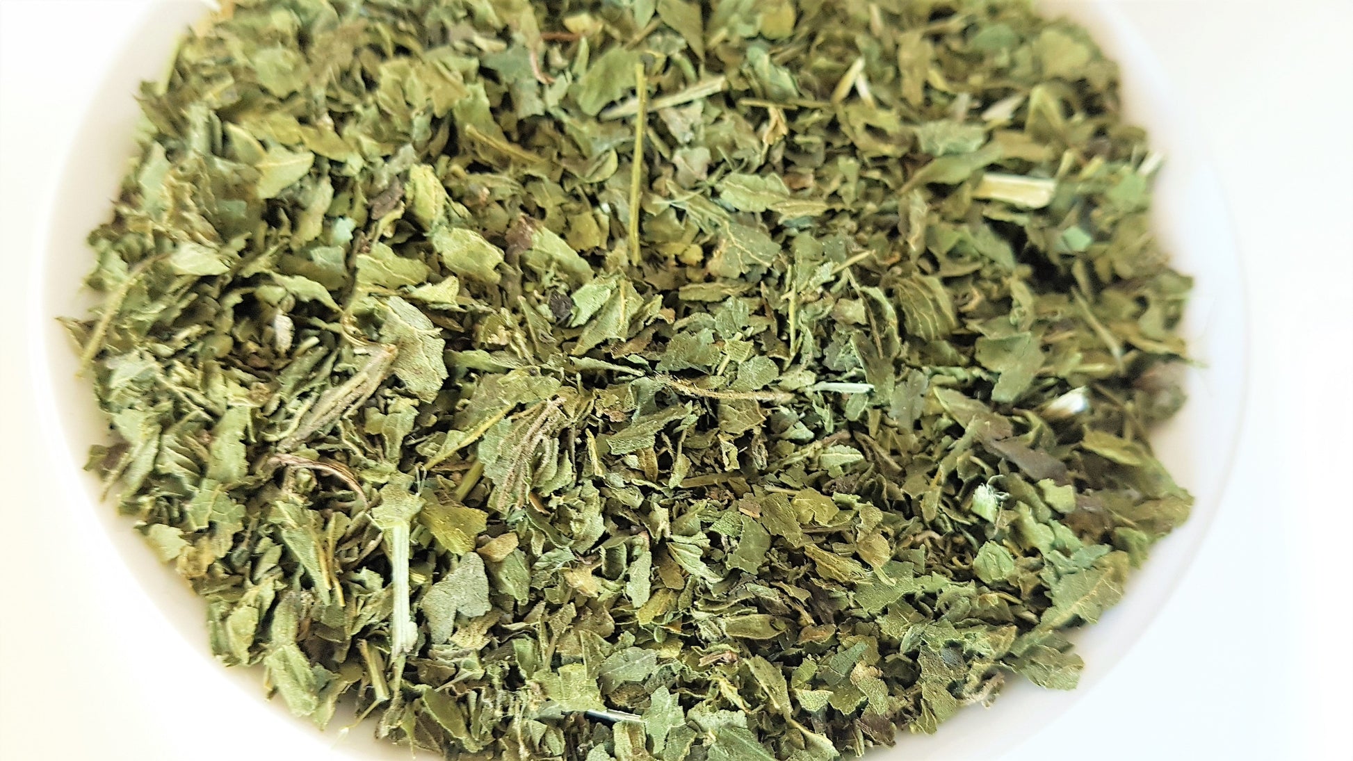 nettle leaf