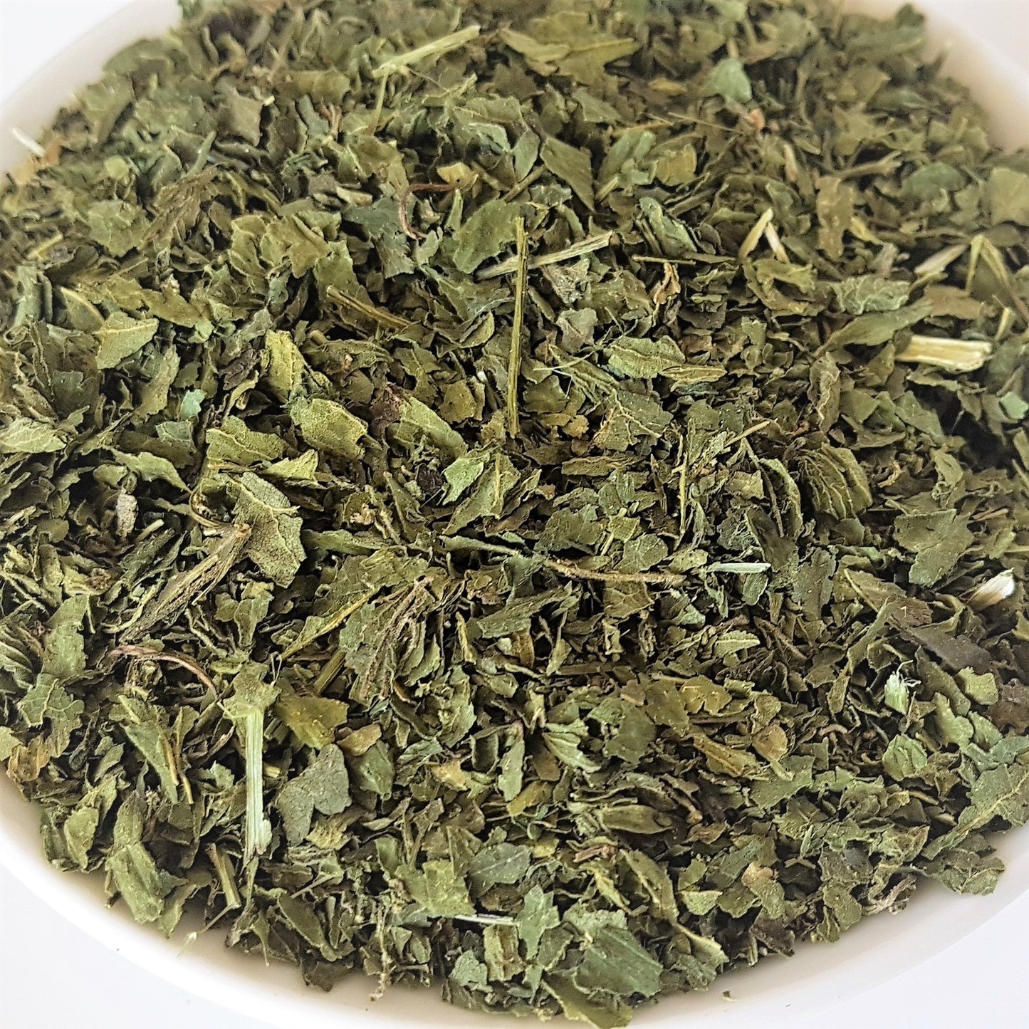 nettle leaf