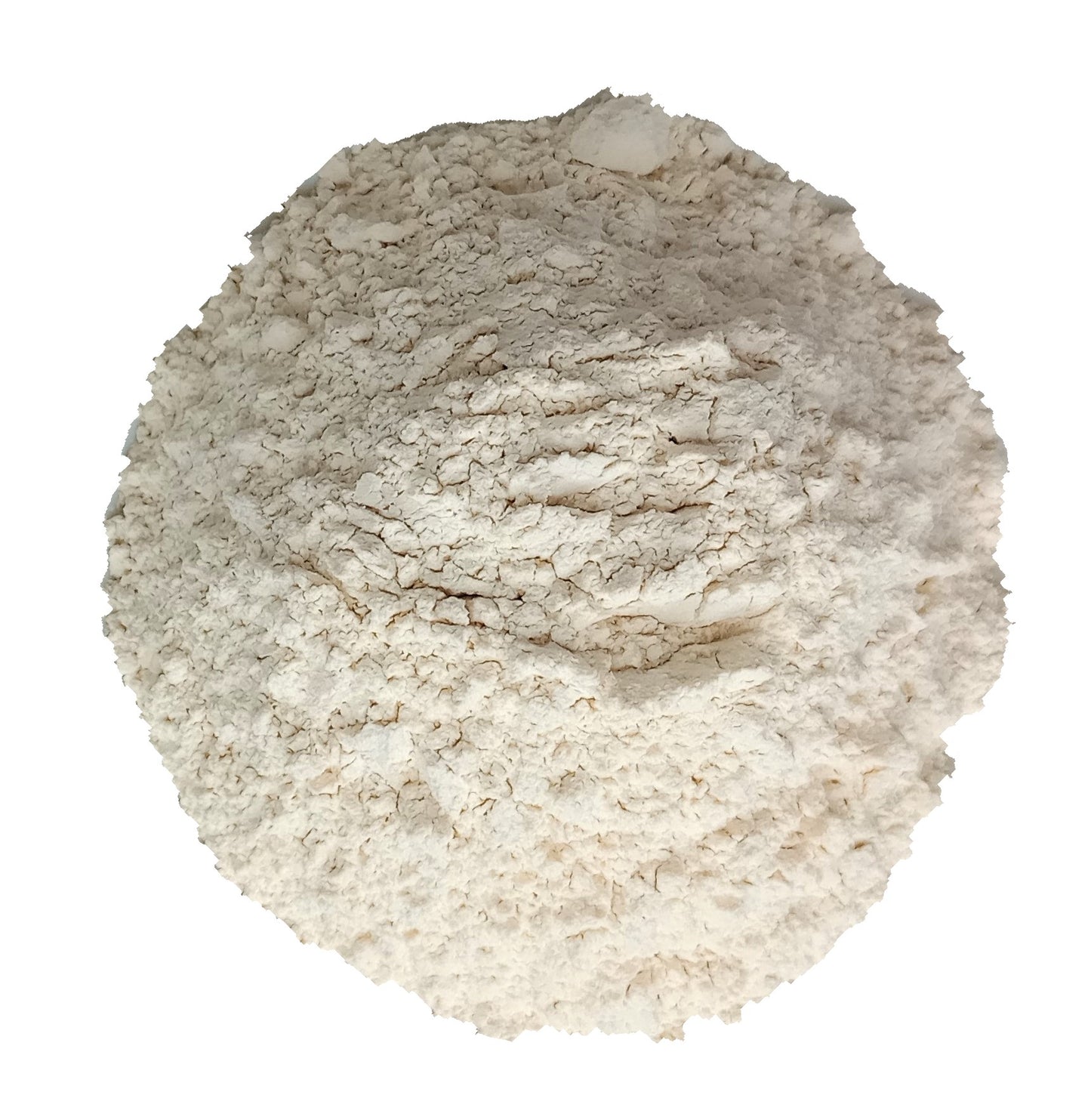 organic onion powder