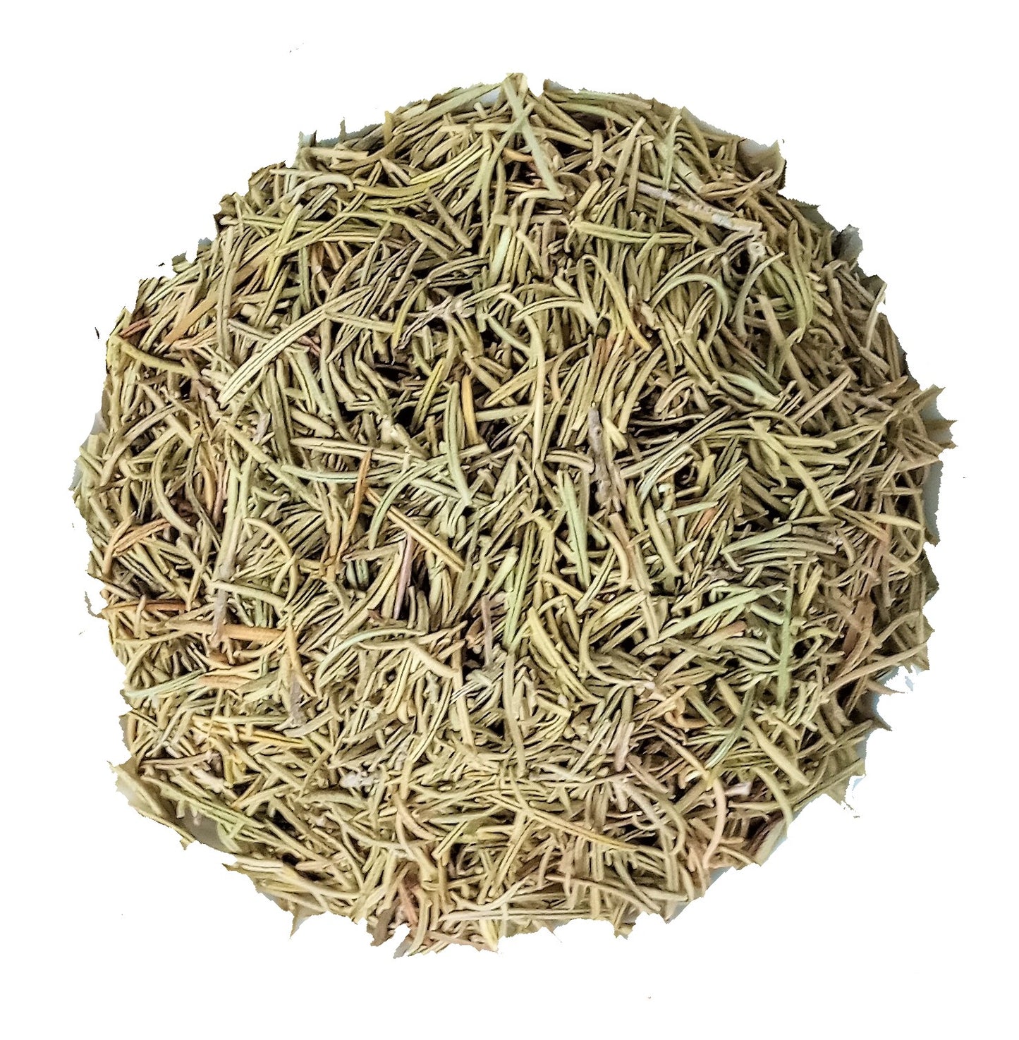 Organic Rosemary - Premium Rose Mary Herb