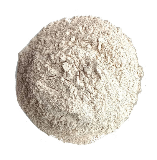 organic yacon powder